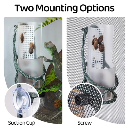 Chameleon Feeding Bowl, Resin Vine Reptile Feeder with Grid Plate for Insect to Climb and Move, Reptile Hunting Bowl with Suction Cup for Chameleon, Lizard, Bearded Dragons, Iguana, Gecko, Frog