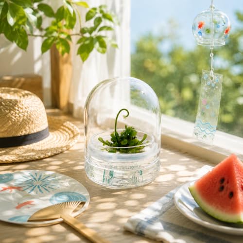 Live Sundew Plant Terrarium – Enclosed Ecosystem with Zero Maintenance – Unique Ecosphere Plants for Home Décor – Drosera Spatula Sundew Plant –Great Gift – Self-Sustaining Terrarium