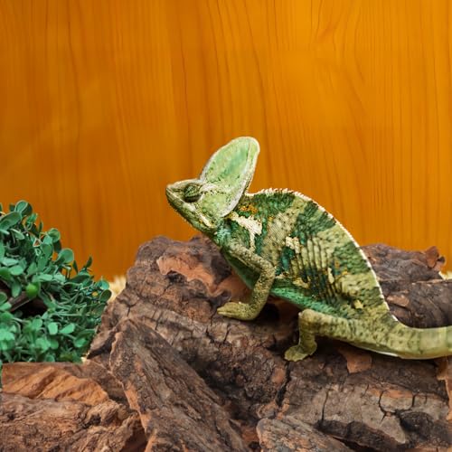 VANZACK 14Pcs Reptile Cork Bark Hideouts Lizard Climbing Bark Reptile Basking Platform Terrarium Decorations for Snakes Geckos Bearded Dragon Tank Accessories