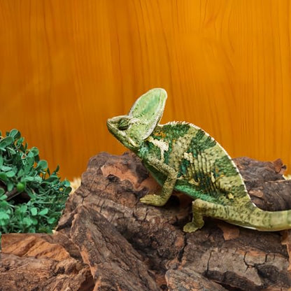 VANZACK 14Pcs Reptile Cork Bark Hideouts Lizard Climbing Bark Reptile Basking Platform Terrarium Decorations for Snakes Geckos Bearded Dragon Tank Accessories