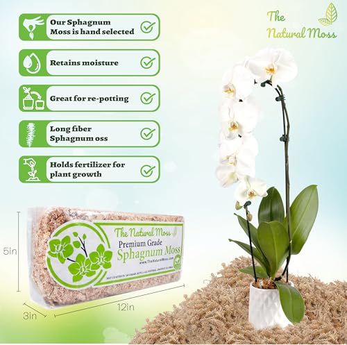 Premium Chilean Sphagnum Moss 5.3oz - Long Fiber Moss for Orchids, Terrariums, Reptiles & Plant Propagation – Natural Potting Moss for Indoor Plants, 6 QT