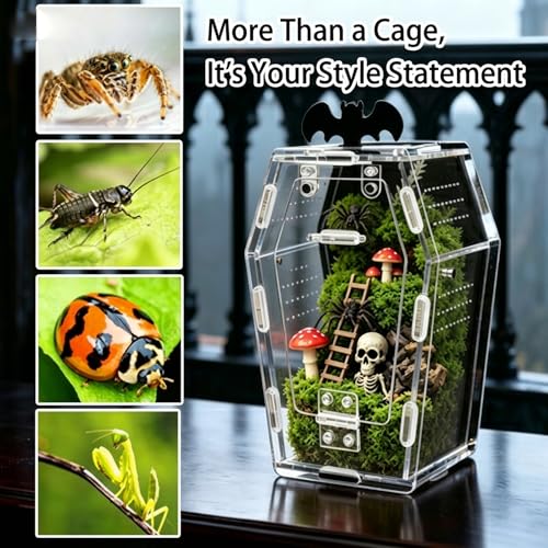 Acrylic Coffin Jumping Spider Enclosure Magnetic Lock Terrarium Kit | Clear acrylic with magnetic locks, feeding port, ventilation. For jumping spiders, tarantulas. 7.1-inch habitat, easy setup.
