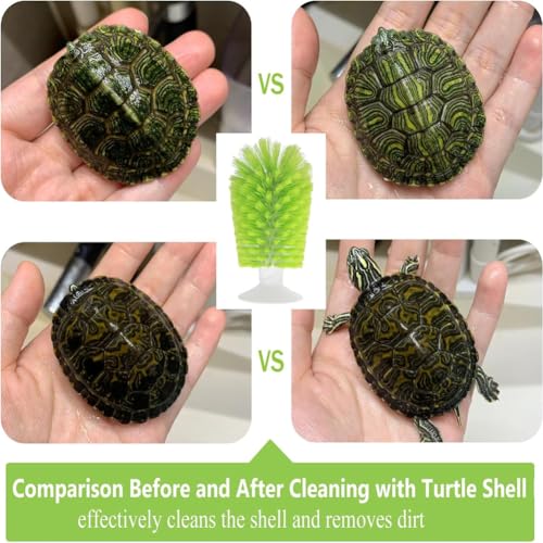 Turtle Brush with Suction Cup for Tank Scratches Back Brush Shell Cleaning Brush Scrub Red Eared Slider Turtle Exfoliate Brush for Remove Turtle Shell Scutes (Grey) - color: Gray
