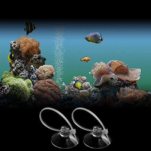 FEBSNOW Aquarium Suction Cups with Ties, Fish Tank Plant Holders | 10 Pack Clear Suction Cups, 30 Pcs Adjustable Cable Ties, for Aquarium Fish Tank Plants Moss Shrimp Nest, Strong Grip Hold
