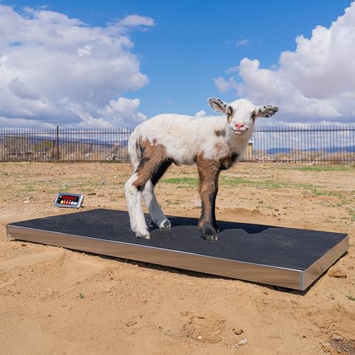 700lbs Vet Animal Scale/Livestock Scale, Digital Weighing Equipment for Small to Medium Sized Animals Calf/Goat/Sheep/Pigs/Dogs/Cat or Pets (38″ x 20″ x 2″) - size: 38″ x 20" x 2″