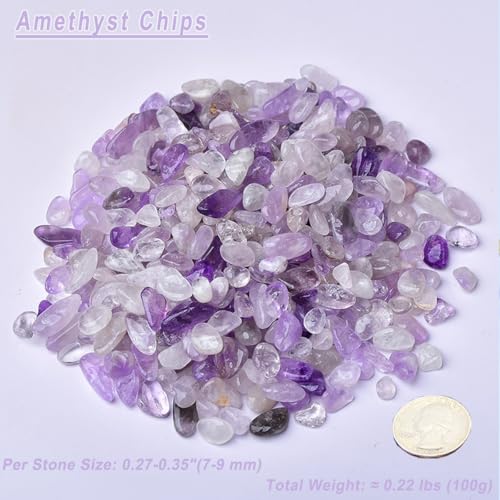 Erliway 7-9mm Amethyst Healing Crystal Chips for Crafts, 100g | Natural Crushed Crystal Stones Tumbled Chips for Vase Filler Aquarium Gravel, Meditation Chakra Balancing, Candle DIY Making - color: Amethyst