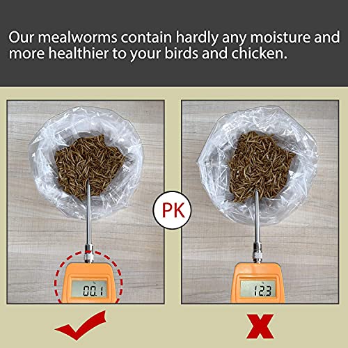 Non-GMO Dried Mealworms,11LB 100% Natural Large Size No Moisture,Treats for Birds Chickens Hedgehog Hamster Fish Reptile Turtles - size: 11 Pound (Pack of 1), style: Mealworms
