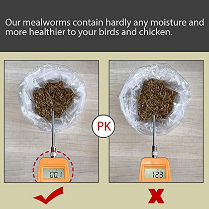 Non-GMO Dried Mealworms,11LB 100% Natural Large Size No Moisture,Treats for Birds Chickens Hedgehog Hamster Fish Reptile Turtles - size: 11 Pound (Pack of 1), style: Mealworms