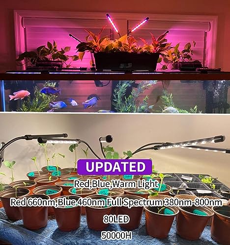 LEOTER Grow Light for Indoor Plants - Upgraded Version 80 LED Lamps with Full Spectrum & Red Blue Spectrum, 3/9/12H Timer, 10 Dimmable Level, Adjustable Gooseneck,3 Switch Modes - size: 4 heads 1 pack