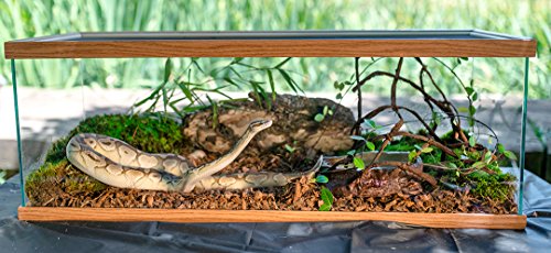 SuperMoss Galápagos (05024) Jurassic Fir Bark Bedding, 8-Quart, Natural - size: 8-Quart Bag