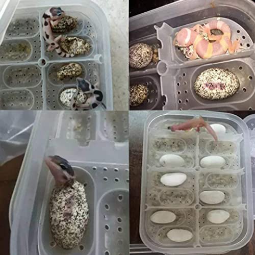 Reptile Incubation Box Reptile Incubator Egg Tray Hatching Box with 12 Grids for Turtle Gecko Lizards Mane, Reptile Hatching Box, standard, style 1