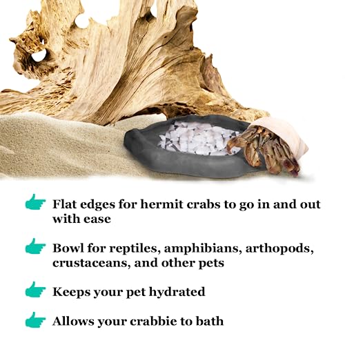 SunGrow Leopard Gecko Water Bowl, Hermit Crab Bathing Pool, 5 x 5.5 Inches, Reptile Food Bowl and Supplies, Water Dish and Climber, Charcoal Color, 1 Pc/Pack