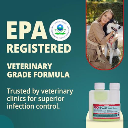 F10 SCXD Concentrated Cleaner Sanitizer with Soap for Veterinary Clinics Kennels Animal Shelters Pet Areas Broad Spectrum Hard Surface Cleaner Pine Fragrance - 100 ml (3.4oz)