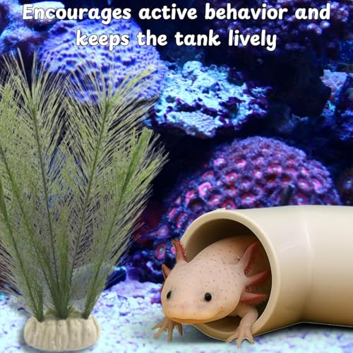 Axolotl Hide Tube Silk Plants and Feeding Bowl for Aquarium, Axolotl Hides Cave Feeding Bowl and Aquatic Green Plant Set, Aquarium Decor, Fish Turtle Tank Accessories Decorations (White, 11 * 3.5in)