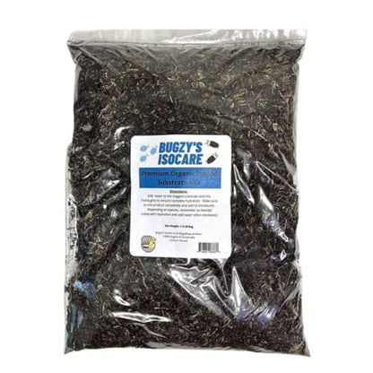 BugzyBugs Vivarium Accessories 6 Quart Starter Kit for Reptile Isopods Springtails Bugs Small Amphibian Crustacean Culturing