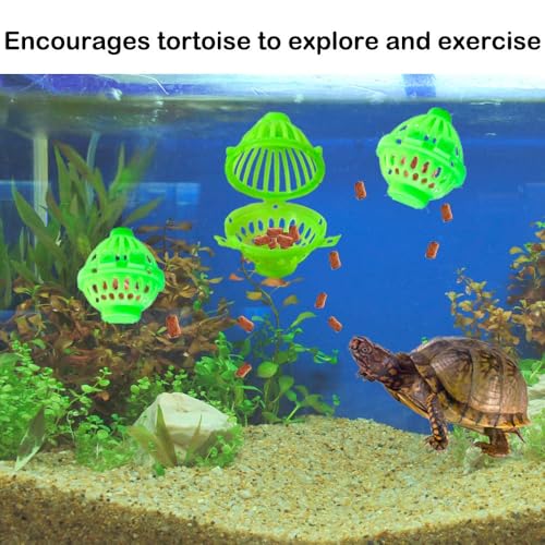 7 pcs Tortoise Treat Ball and Training Skateboard Toy Set Turtle Feeder Ball Funny Aquatic Turtle Enrichment Toys Aquarium Feed Toy Tortoise Feeding Balls Vegetable Grass for Small Animals