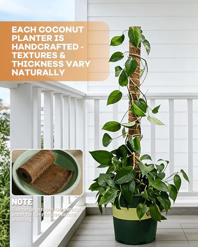 Coco Liners for Planters - 16" x 160" Thick Coconut Fiber, Pre-Drained Planter Liner, Reptile Bedding & Garden Mat | 100% Natural & Biodegradable Coconut Coir for Plants - size: 16 inches x 160 inches