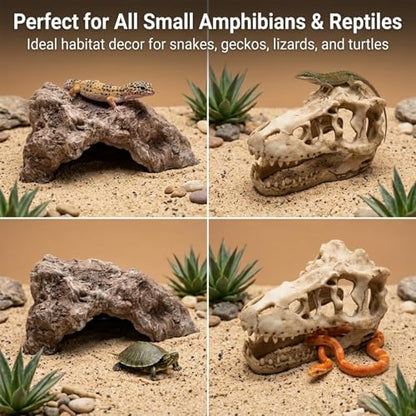 Anxingo Reptile Rock Reptile Cave Hideout for Snakes/Geckos/Lizards/Turtles and Other Amphibians, with Dinosaur Skull (Medium) - size: M