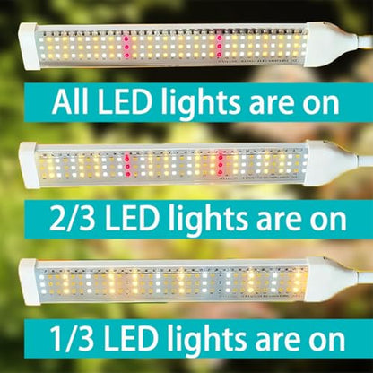 Secefeao105 LED Grow Lights for Indoor Plants Full Spectrum, LED Plant Light with Stand, Adjustable Height, Plant Grow Lights with Auto 4/8/12/H Timer for Indoor Tall Plants(105 LEDs)