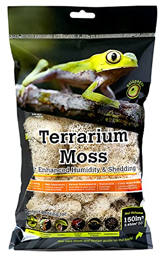 Galapagos (05180 Reindeer Moss, Natural, 150in3 Header Bag | Header Bag