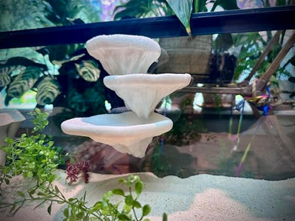Mushroom Ledge for Terrarium – Climbing & Resting Platform with Suction Cups (Bone, 6''x4.5''x5.25'') - color: Bone