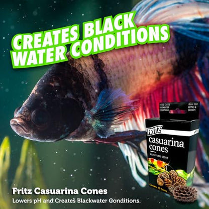 Fritz Aquatics Betta Botanicals for Betta and Community Fish Aquariums (Casuarina Cones - 20ct)