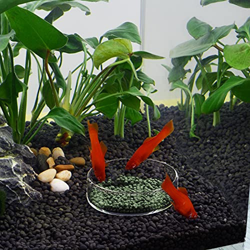 WEAVERBIRD 60mm Aquarium Shrimp Feeder Dish Glass Fish Tank Feeding Bowls Round Clear Dishes Tray - size: 60MM
