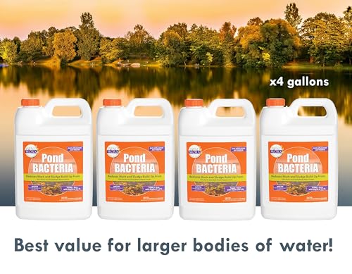 Pondworx Pond Bacteria - Formulated for Water Features and Safe for Koi (4 Gallon Value Pack) - size: 4 Gallon Value Pack