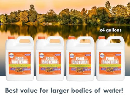 Pondworx Pond Bacteria - Formulated for Water Features and Safe for Koi (4 Gallon Value Pack) - size: 4 Gallon Value Pack