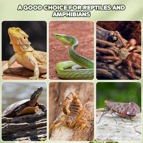VANZACK 14Pcs Reptile Cork Bark Hideouts Lizard Climbing Bark Reptile Basking Platform Terrarium Decorations for Snakes Geckos Bearded Dragon Tank Accessories