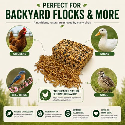 5LB Dried Mealworms + 175g Treat Cake for Chickens & Wild Birds | Dual-texture feeding combo, high-protein supplement, flexible feeding ways, compact storage packaging for flock daily care