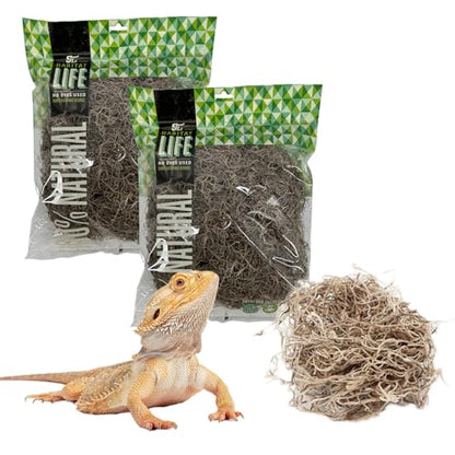 Spanish Moss for Terrarium Habitats, Medium 2-Pack | Preserved Moss for Reptiles, Amphibians & Invertebrates Terrariums, Humidity Control, Soft, Dye-Free, Family Owned, USA Made - size: Medium 2-pack, style: Spanish Moss