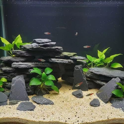 Aquarium Rock Natural Slate Rocks 2 to 4 inch Aquariums Stone for Aquascaping,Terrariums,Reptile Enclosures,Paludariums, and Gardens-5lb - size: 5lb(2-6'')