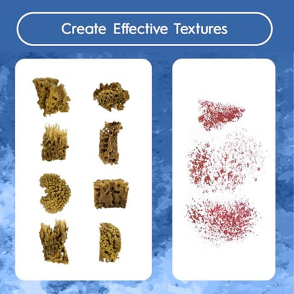 NAROA Artist Natural Sea Sponges for Painting 8 Pack | Unbleached Unique Art Tool Set | Suitable for Acrylic Watercolor, Marbling, Texturing, Pottery, Ceramics