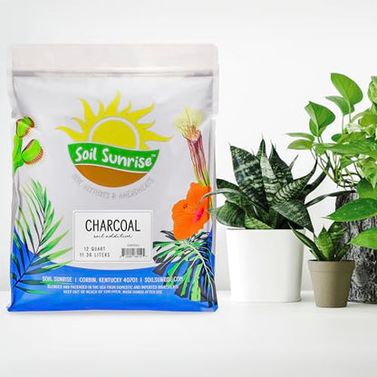 Soil Sunrise Horticultural Charcoal for Indoor Plants (12 Quarts) Hardwood Soil Additive for Orchids, Terrariums, and Gardening - size: 12 Quarts