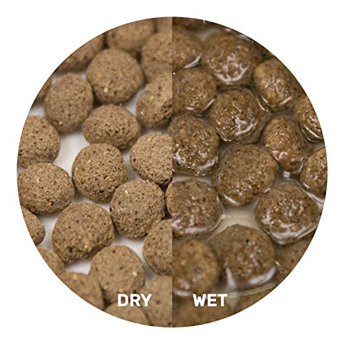 Hikari® Dragon Delite™, Food for Vegetable and Insect-Eating Lizards, 7 oz (200g)