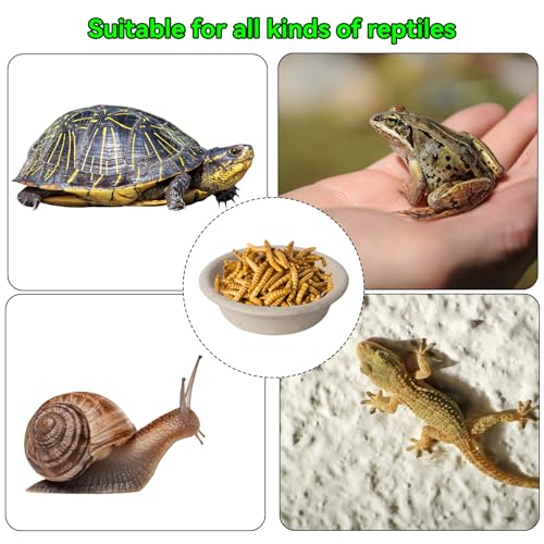 Klmnop 300 Pack 1oz Paper Gecko Food Cups, Reptile Feeding Dish, Food Bowl Ledge Accessories for Crested Gecko Reptiles Pets(Natural)