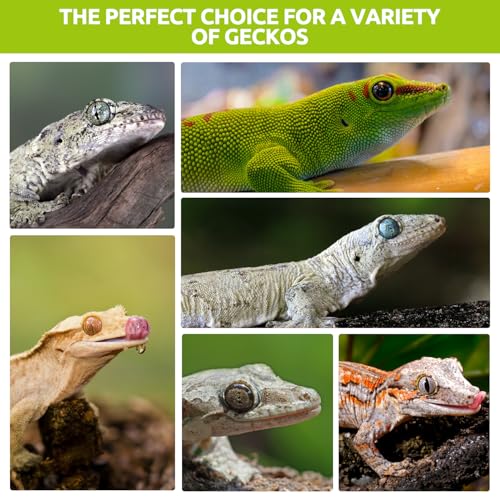 Gecko Food, Fruit Mix Insects Gecko Diet with Banana 2 oz