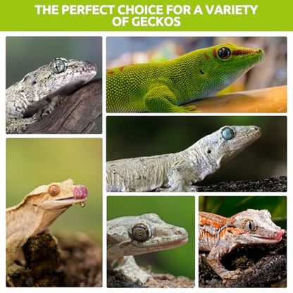 Gecko Food, Fruit Mix Insects Gecko Diet with Banana 2 oz