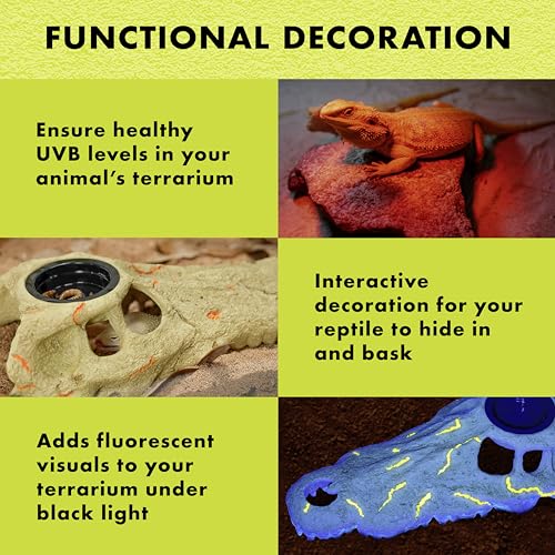 Zilla Rapid Sense UV Detecting Pet Reptile Terrarium Décor, Detects UVB Levels, Crocodile Skull, Large - size: Large
