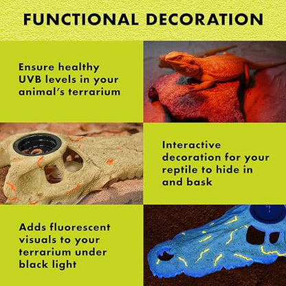 Zilla Rapid Sense UV Detecting Pet Reptile Terrarium Décor, Detects UVB Levels, Crocodile Skull, Large - size: Large