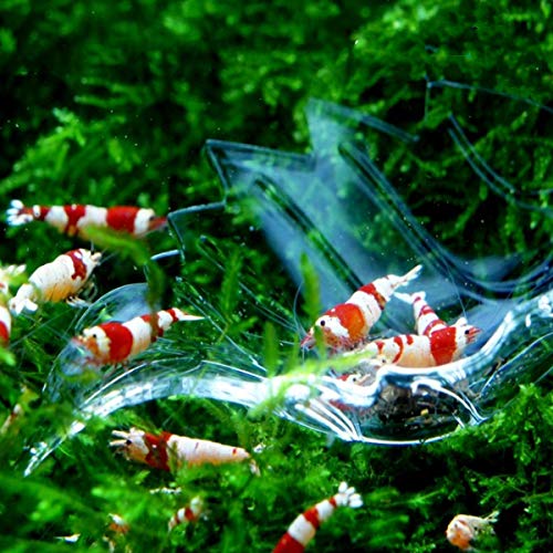 Shrimp Feeding Dish Shrimp Feed Dish Leaf Shaped Bowl