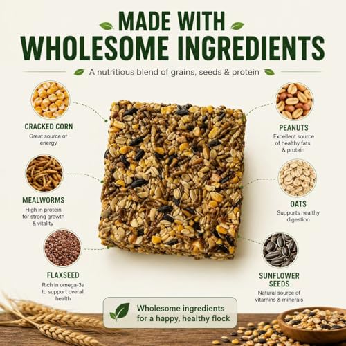 5LB Dried Mealworms + 175g Treat Cake for Chickens & Wild Birds | Dual-texture feeding combo, high-protein supplement, flexible feeding ways, compact storage packaging for flock daily care