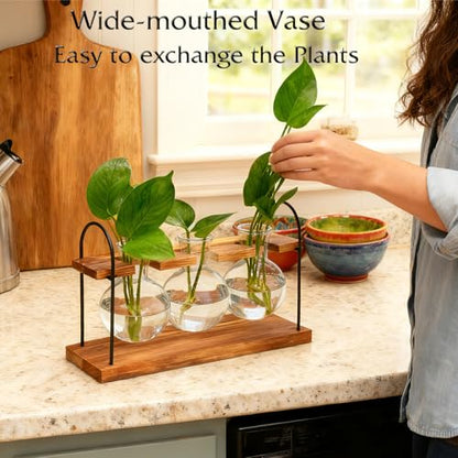 Plant Terrarium with Wooden Stand, Birthday Gift for Women Mom Plant Lover | Retro Glass Plant Propagation Station, Plant Pot Hydroponic, Unique Parent Gardening Gifts, Home Office Garden Decor Planter