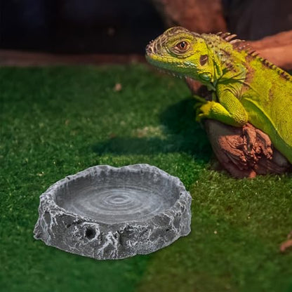 SUPVOX Reptile Food Container and Water Dish Resin Feeder Small Tortoise Feeding Bowl Multi-Function Pet Food Storage Basin for Terrarium Use