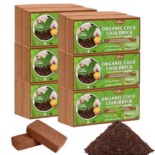 Riare 12pcs Organic Coco Coir Bricks, Natural Coconut Coir for Plants | High Expansion & Moisture Retention Coconut Husk Fiber for Seed Starting, Potting Mix, Composting, Soil Amendment & Reptiles - color: Pack of 12