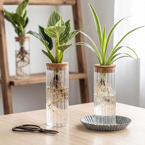 6 Set Propagation Station Jar Desktop Glass Planter Station Flower Vases Water Terrarium Jar with Cork Lid for Propagating Flower Plants Centerpiece Office Home Garden Decor(Large) - size: Large
