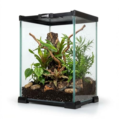 Habistat Mini Glass Terrarium for Reptiles 8"x8"x12" – Stackable Reptile Enclosure for Inverts & Amphibians with Lock & Watertight Base, Ideal Terrarium Tank for Geckos and Indoor Bioactive Setups - size: 8"x8"x12"