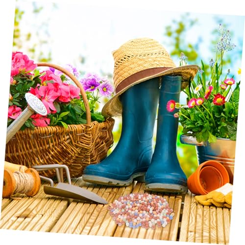 BESPORTBLE Decorative Plant Pebbles Hydroponic Clay Pebbles for Succulent Potting Aesthetic Drainage for Indoor Gardening
