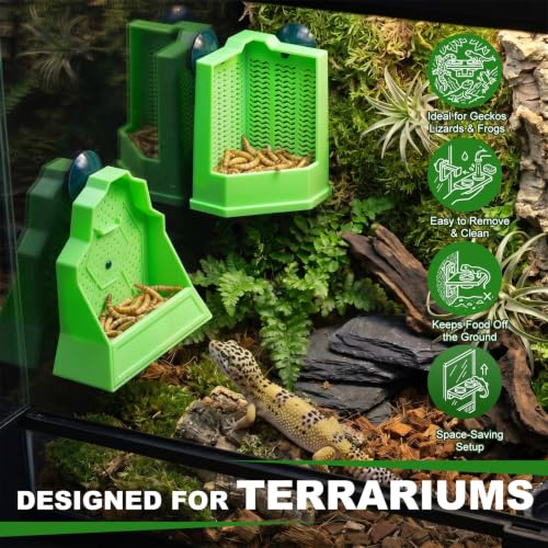 Reptile Feeder Combo Set, 2 Pack Escape-Proof Corner & Wall-Mounted Bowls with 2 Pack 10.6" Stainless Steel Straight & Curved Tongs with Rubber Tips for Bearded Dragon Gecko Lizard Frog